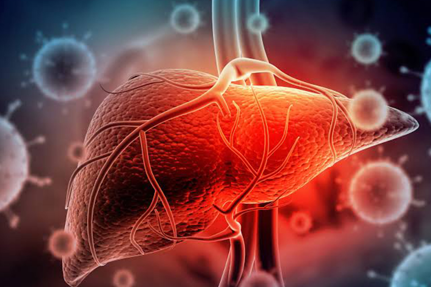 Elevated liver enzymes